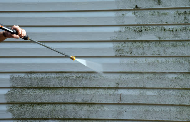 Best Pressure Washing Driveway  in Progress Village, FL