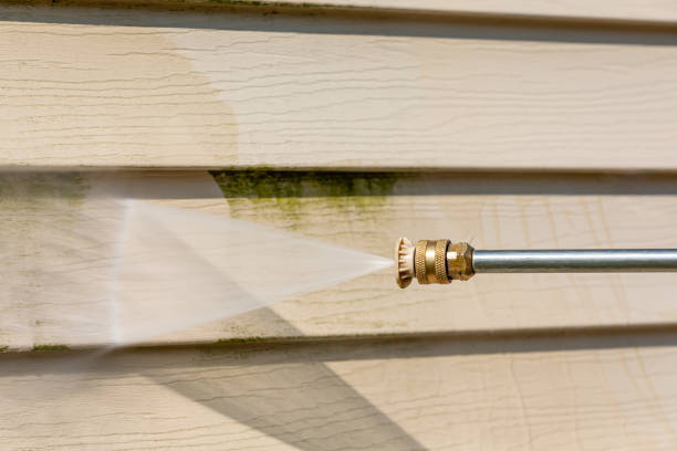 Best Deck Cleaning Services  in Progress Village, FL